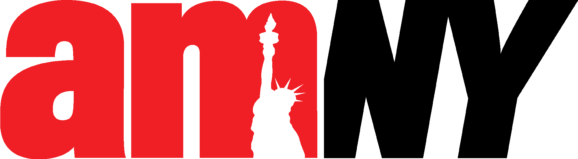 AmNY logo v2